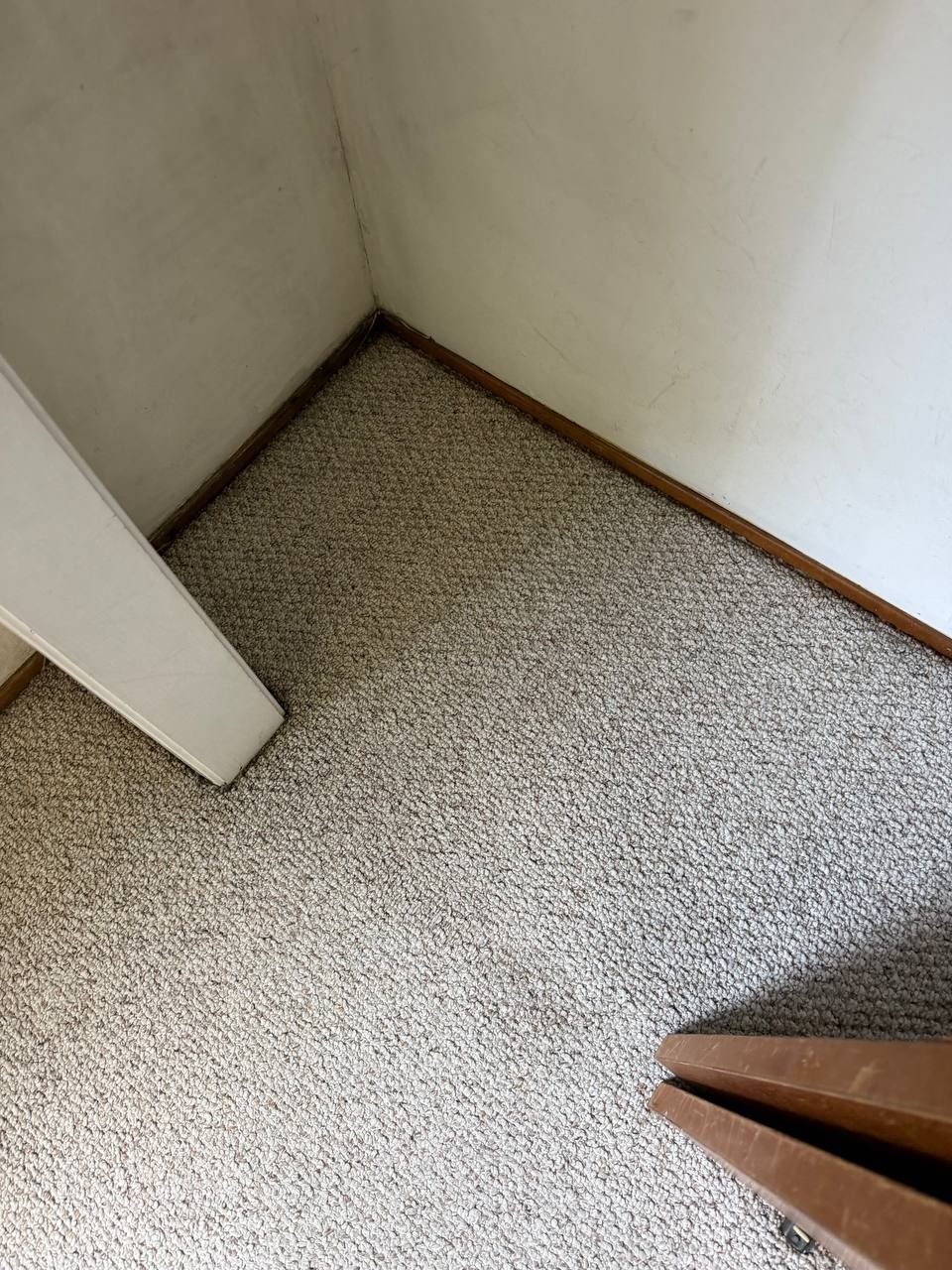After carpet cleaning in a hallway corner with the traffic area visibly improved