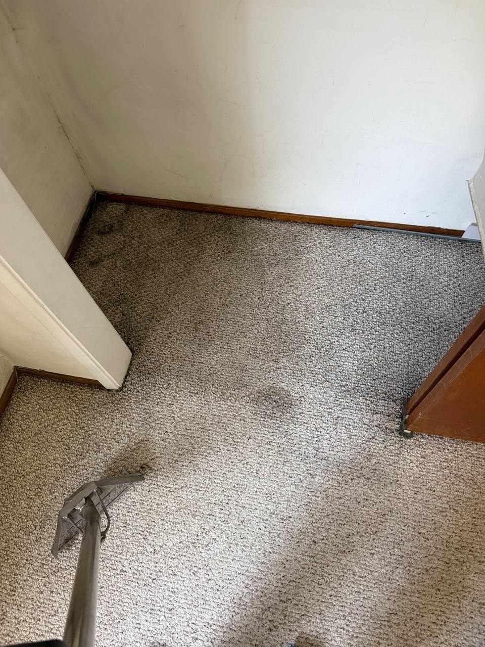 Before carpet cleaning in a hallway corner with visible dark traffic and edge soil