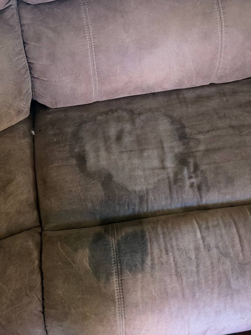 Before upholstery cleaning showing dark rings and staining across a sectional cushion